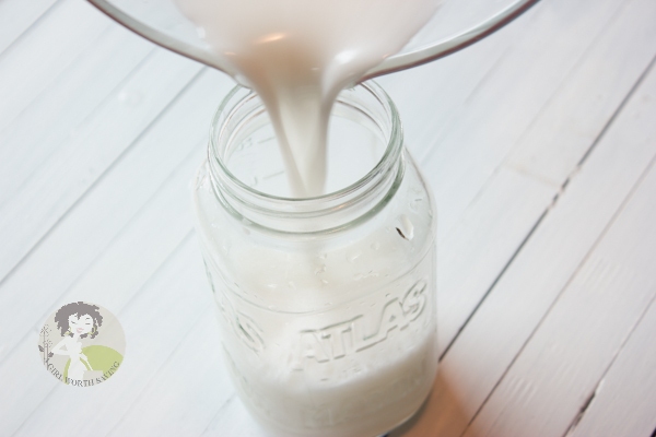 HOW TO MAKE COCONUT MILK FROM DRIED COCONUT