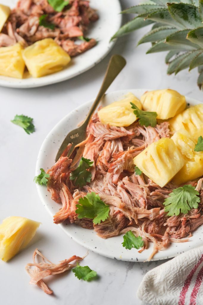 Kalua Pork on a plate with diced fresh pineapple 