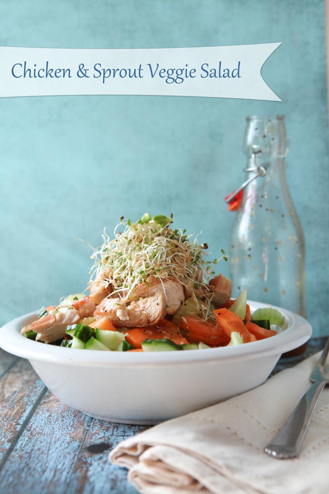 Chicken & Sprout Veggie Salad