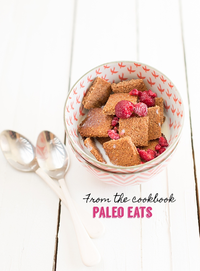 I share how easy it is to make this recipe in this how to make paleo cereal video.