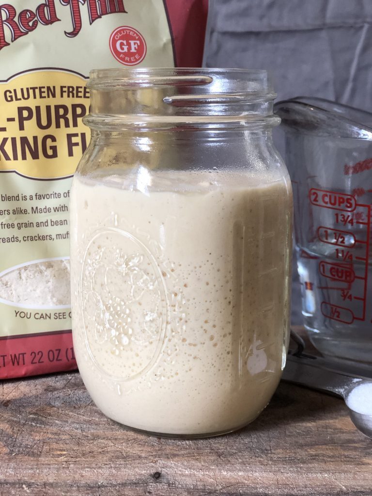 gluten free sourdough starter wild yeast