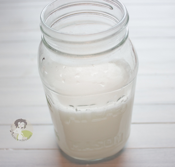 Recipe Index Kelly Bejelly HOW TO MAKE COCONUT MILK FROM DRIED COCONUT