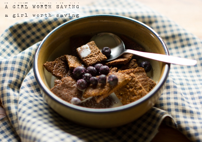 Recipe Index Kelly Bejelly paleo cinnamon cereal