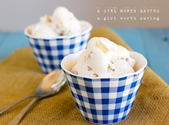 Recipe Index Kelly Bejelly paleo apple pie ice cream