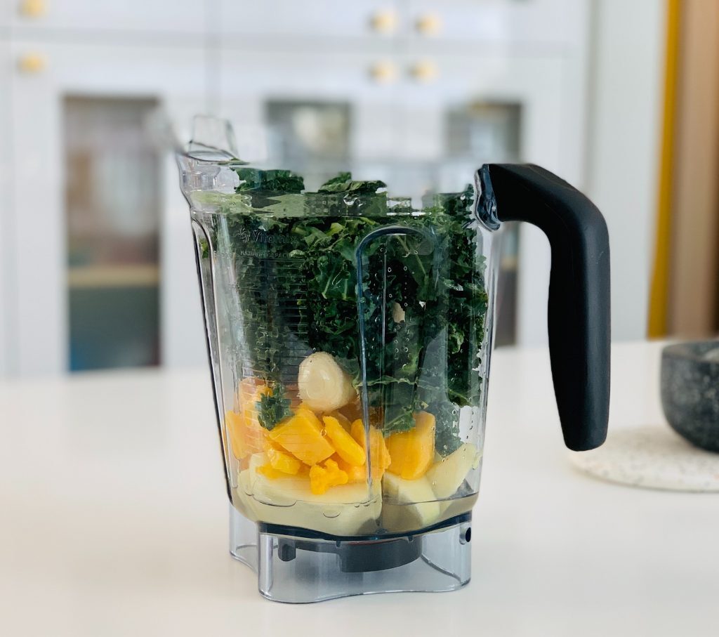 Best Blender Under 100 Kelly Bejelly counter top blender - best blender under 100