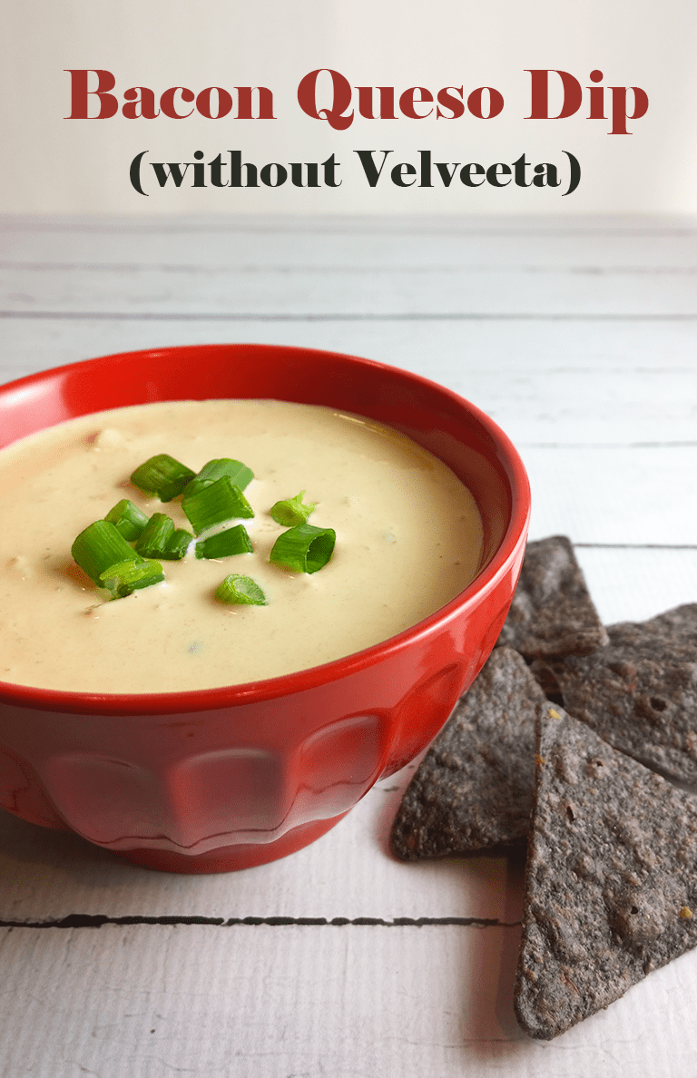 Recipe Index Kelly Bejelly Bacon queso dip without Velveeta - A Girl Worth Saving