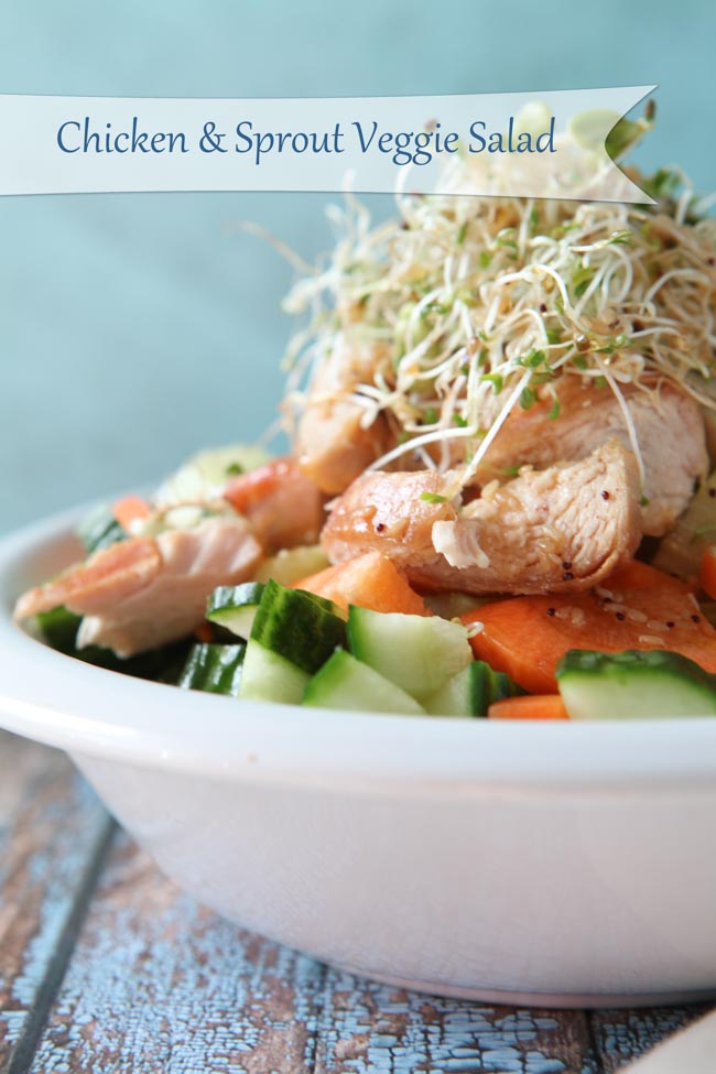 Recipe Index Kelly Bejelly Chicken & Sprout Veggie Salad