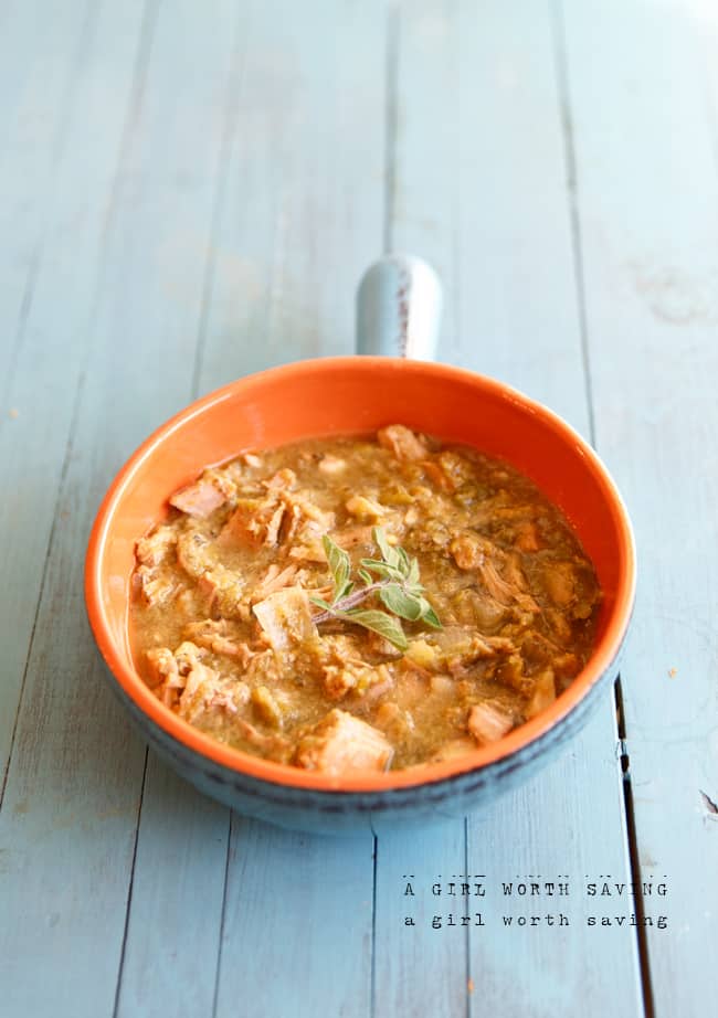 Recipe Index Kelly Bejelly slow cooker chili verde