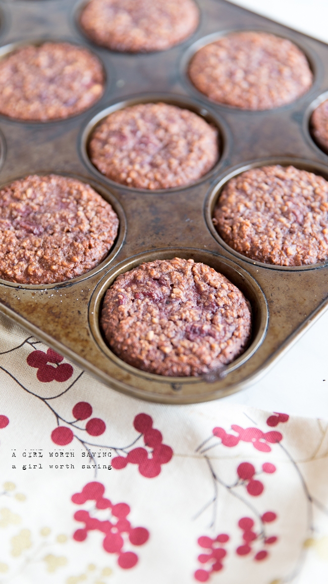 Recipe Index Kelly Bejelly gluten-free cranberry muffins