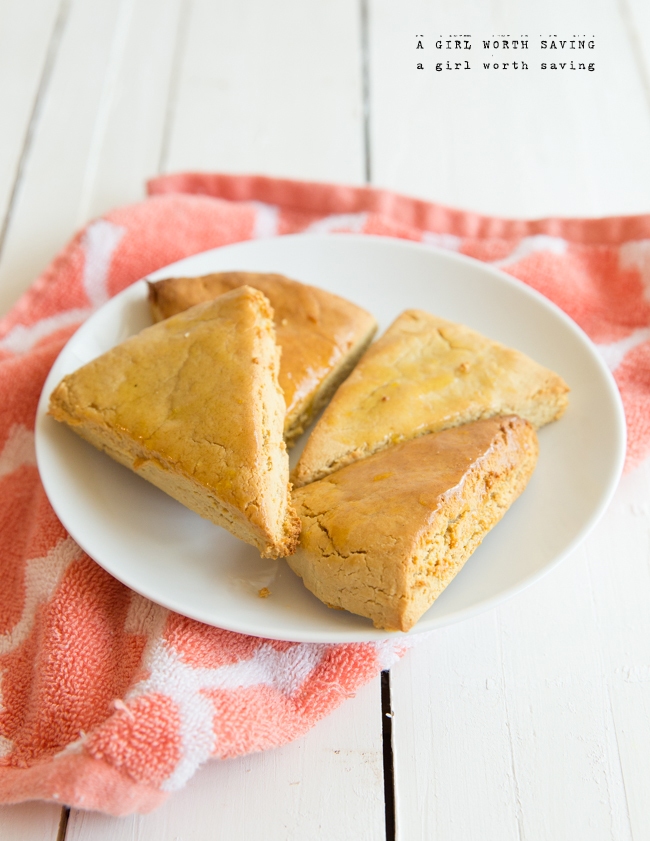 Recipe Index Kelly Bejelly paleo orange scones