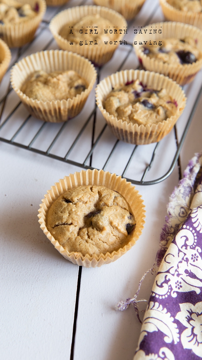 Recipe Index Kelly Bejelly paleo blueberry muffins