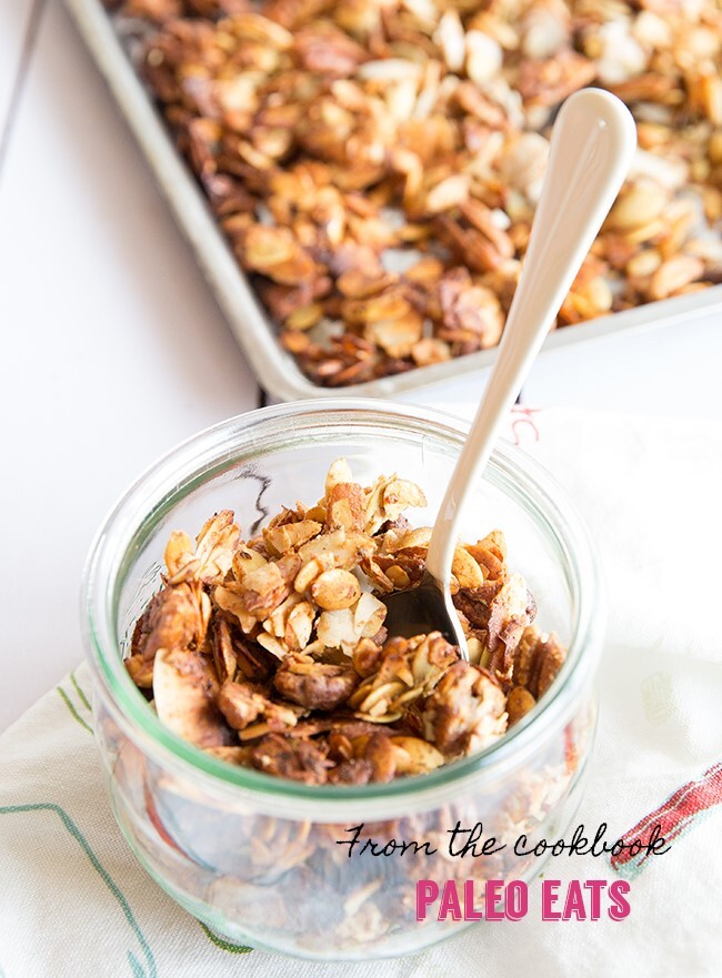 Recipe Index Kelly Bejelly paleo granola