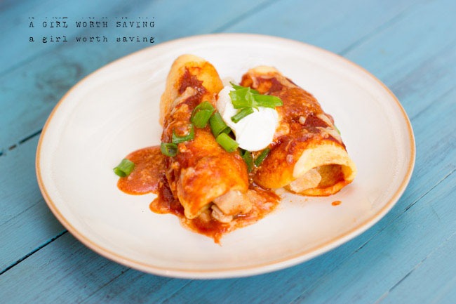 Recipe Index Kelly Bejelly Easy Chicken Enchiladas | Paleo, Gluten-free