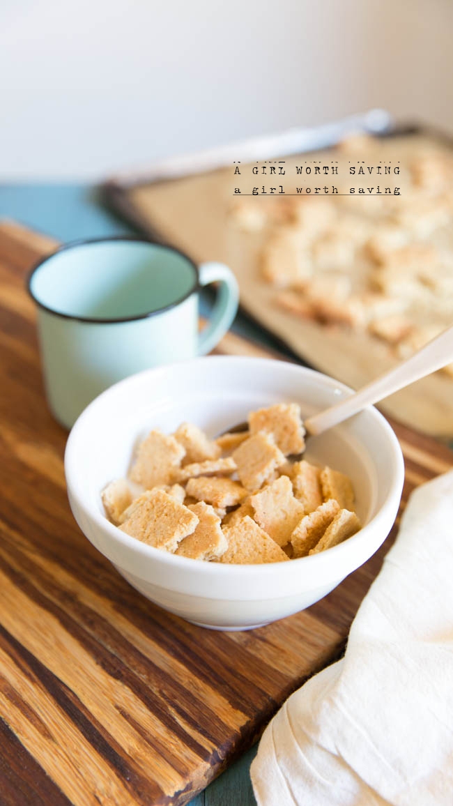 Recipe Index Kelly Bejelly paleo chex