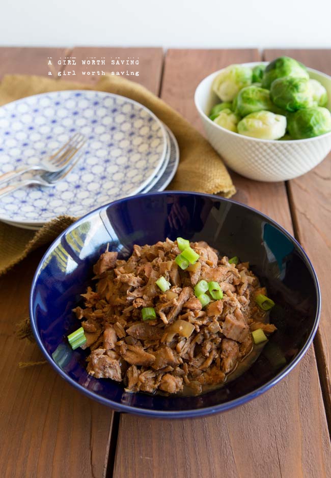 Recipe Index Kelly Bejelly slow cooker shredded pork