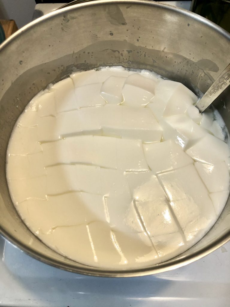 Quick Oaxaca Cheese Recipe Kelly Bejelly Oaxaca cheese might not be as well-known as some other Latin American cheeses, like crumbly aged Cotija and squeaky Queso Fresco, but it’s one you should get acquainted with if you aren’t already.